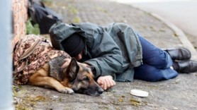 Minorii care au ucis cu bestialitate, acum câteva luni, pe un om al străzii, au primit ani grei de pușcărie